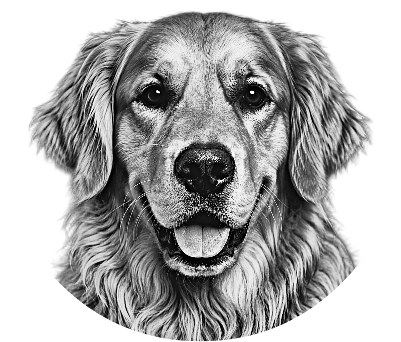 Dog photo engraving.xs