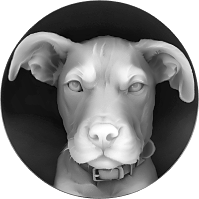 Pitty Coin.xs