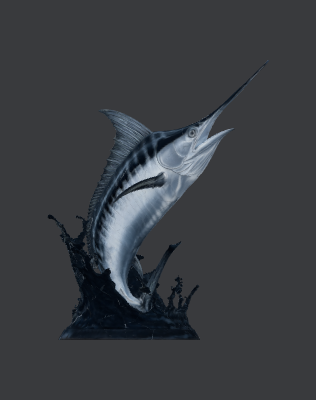 3D Marlin.xs