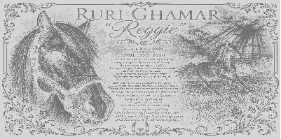 Reggie.xs