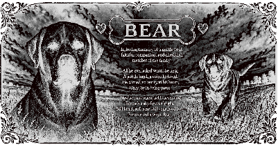 Bear Memorial Slate.xs