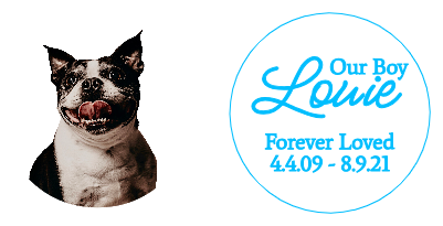 Our boy Louie.xs
