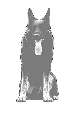 malinois wall art.xs