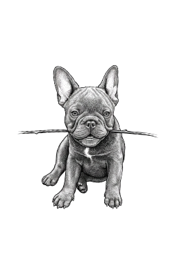 Frenchie.xs
