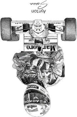 Ayrton Senna Large Plank UV 550 1-80  350.xs