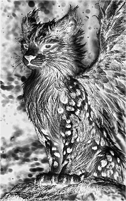 Phönix Cat.xs