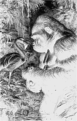 Gorilla und Flamingo.xs