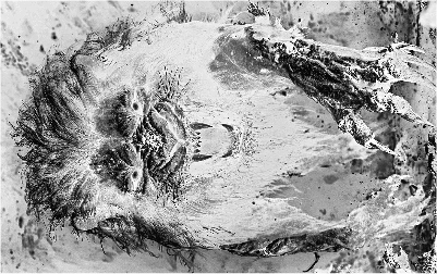 Zombie Löwe.xs