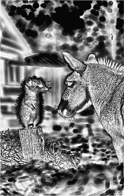 Erdmännchen & Esel sagen sich ´´Hallo´´.xs