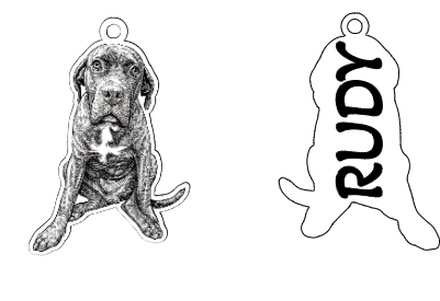 dog didi.xs