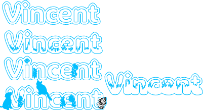 Vincent.xs