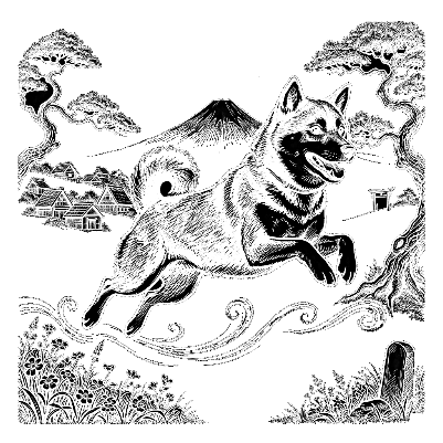 Shiba Japon.xs