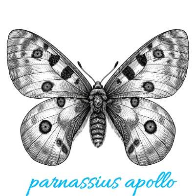 butterfly.xs