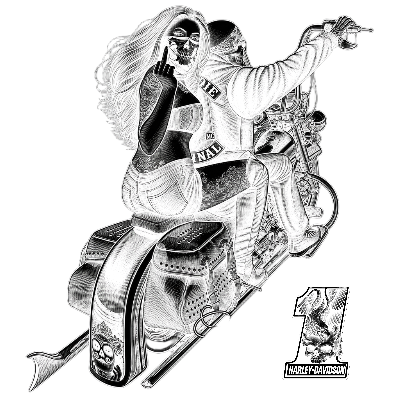 Harley rebel.xs