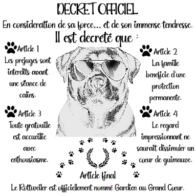 DECRET ROTT.xs