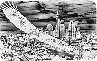 Adler mit Skynline.xs